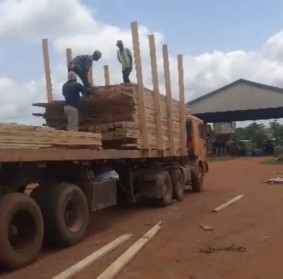Workers loading timber onto a flatbed trailer